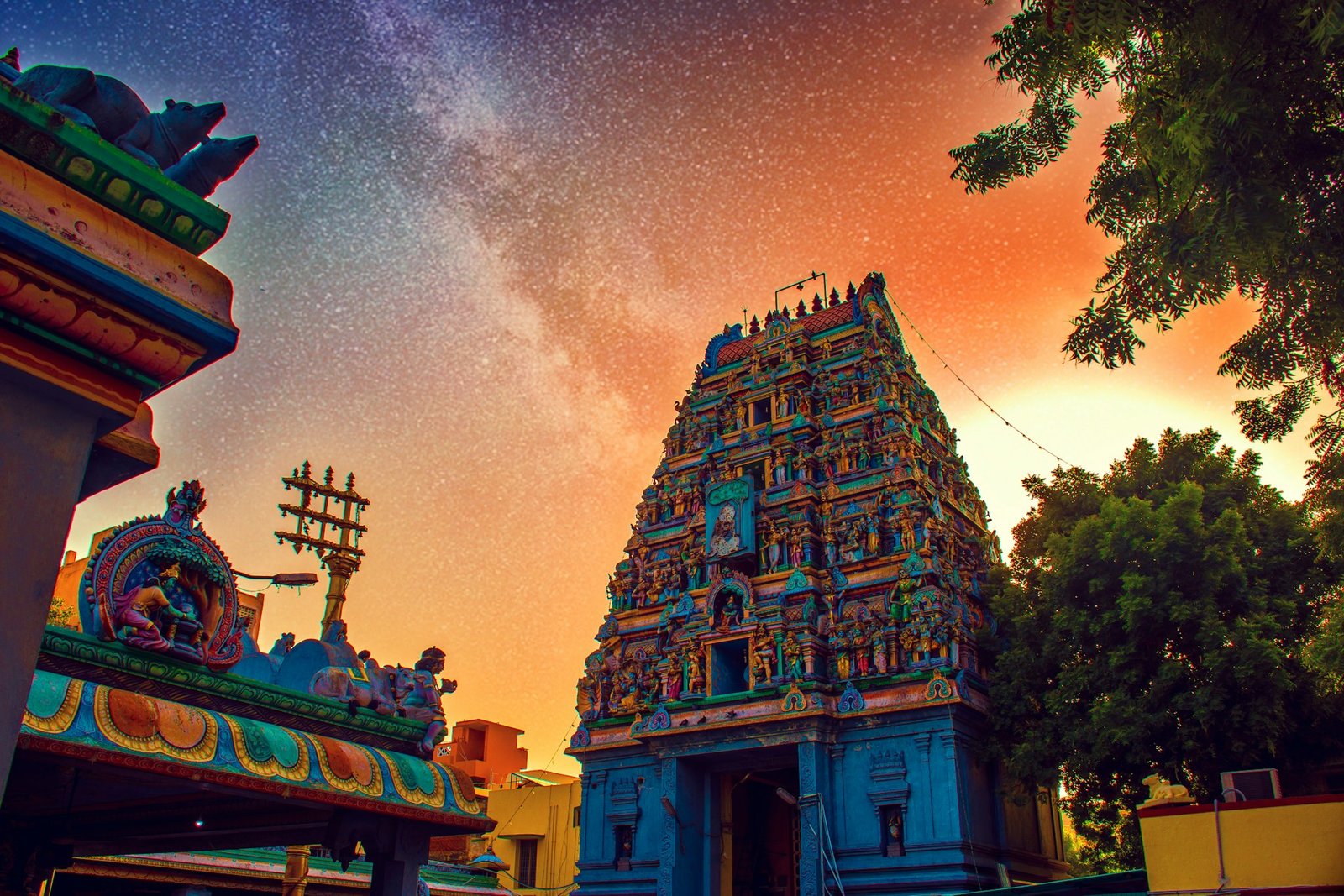 Wayanad Tour Package From Chennai